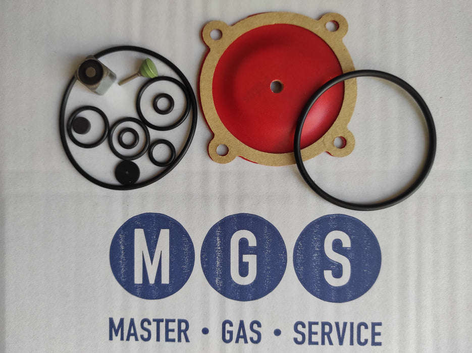 Kit Revisione Riduttore Ris 14 Romano Autogas