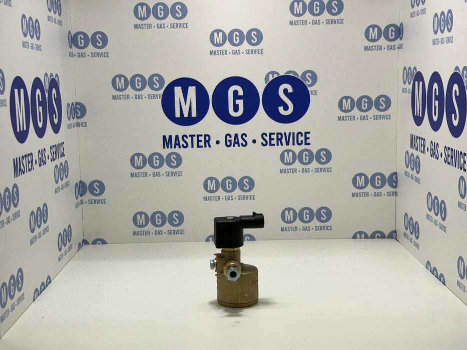 Elettrovalvola Gpl Max (Codice: Reg001-M)