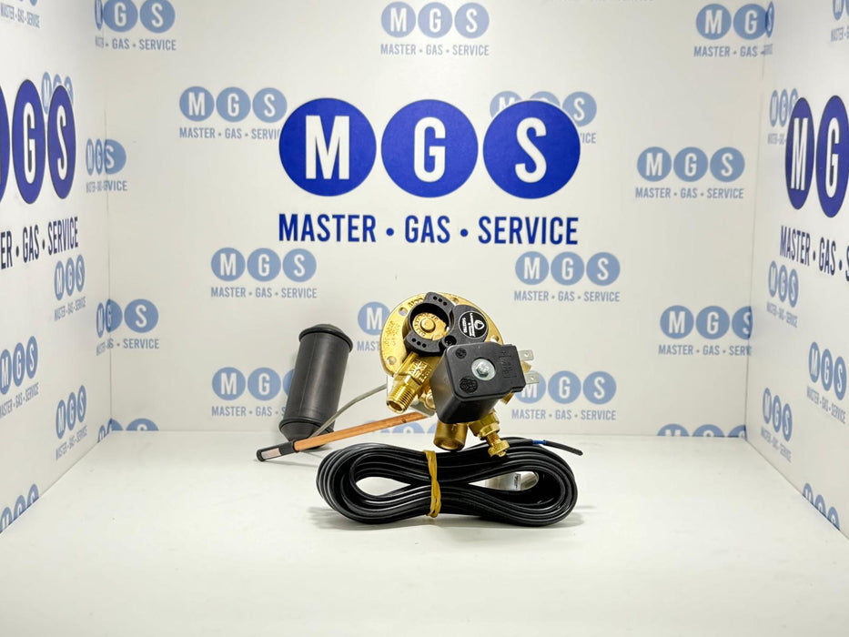 Multivalvola Toroidale Landi Renzo